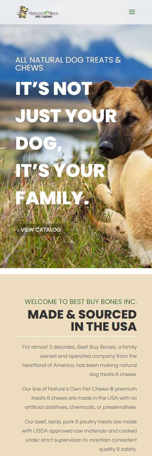 Best Buy Bones Website Client
